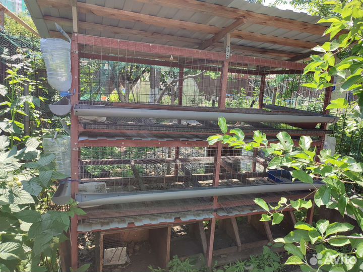 Клетка для кур