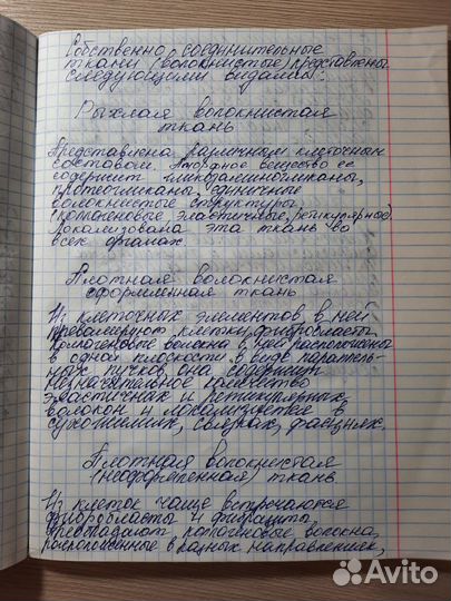 Напишу/напечатаю конспекты/лекции