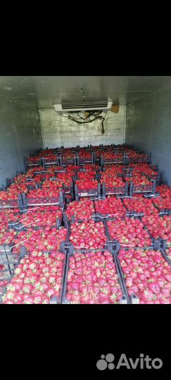 Грузоперевозки газель