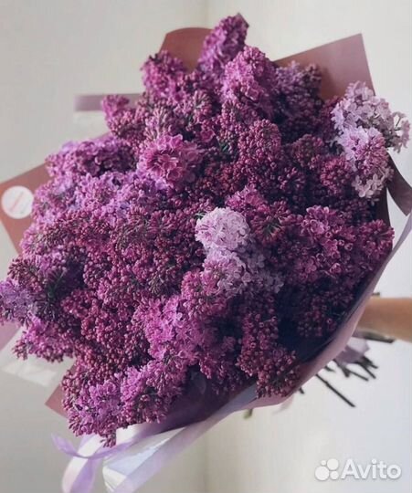 Букет Сирени