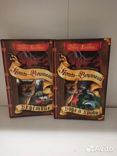 Коты воители специздания