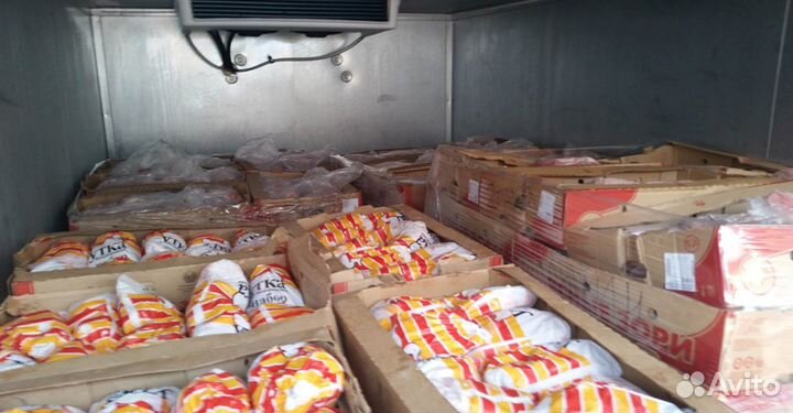 Рефрижератор 1-3-5-10 тонн