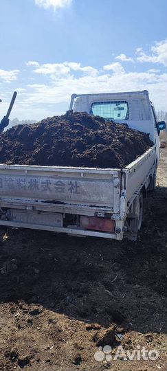 Перегной навоз конский коровий в мешках и машиной