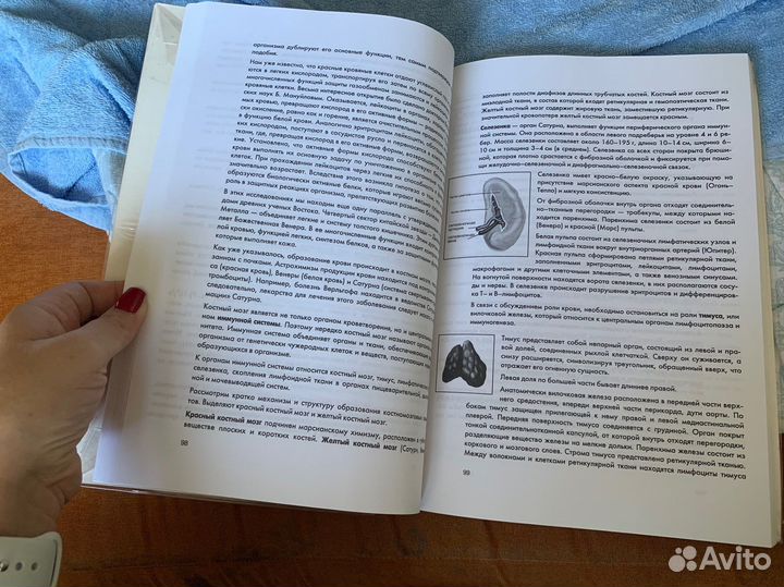 Э.И. Гоникман книги
