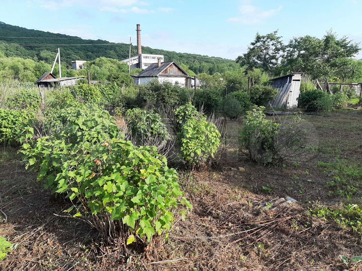 Дом 31 м² на участке 8 сот.