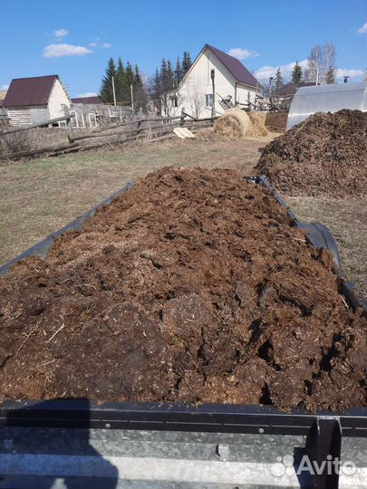 Конский навоз