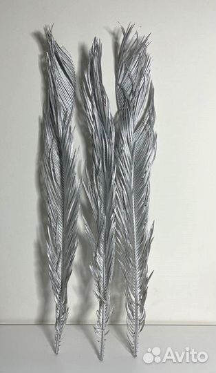 Листья пальмы серебряные высокие сухоцвет