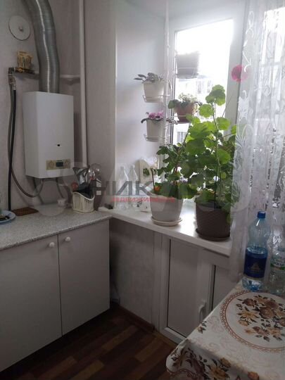 1-к. квартира, 30,8 м², 4/5 эт.