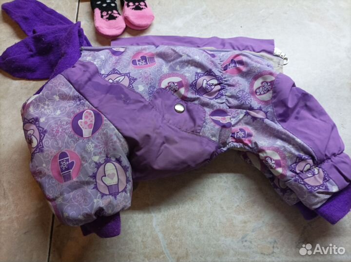 Одежда для собак