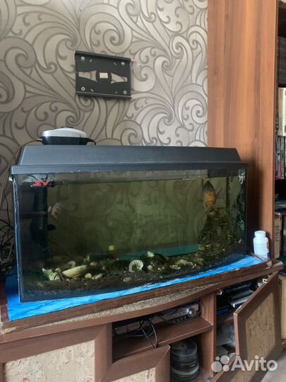 Аквариум
