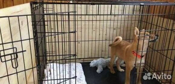 Клетка для собак #2 с пластиковым поддоном