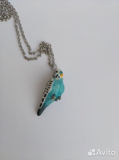 Волнистый попугай