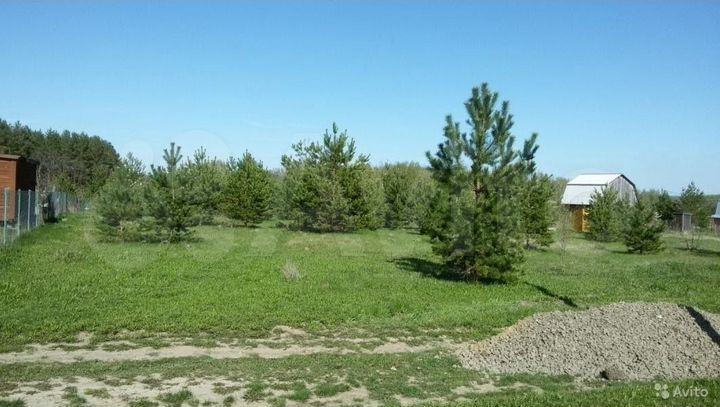 Участок 12 сот. (СНТ, ДНП)