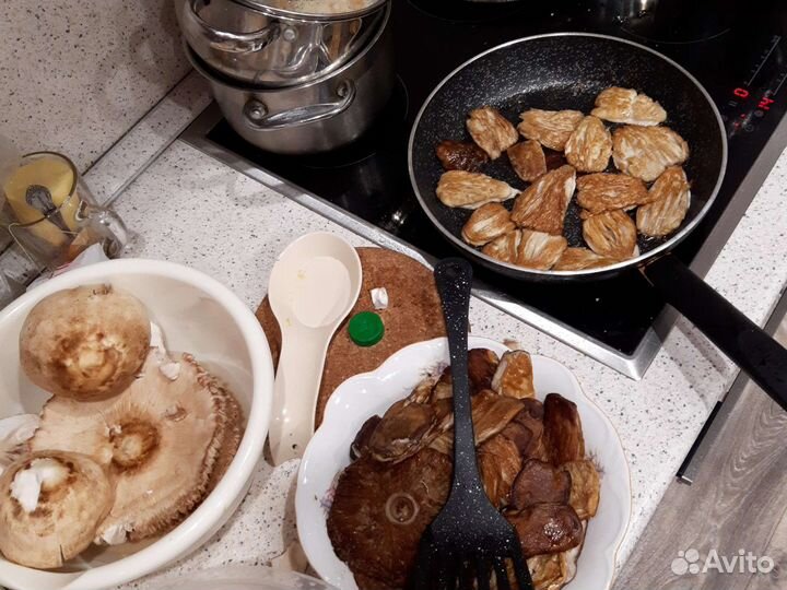 Продам грибы зонтики