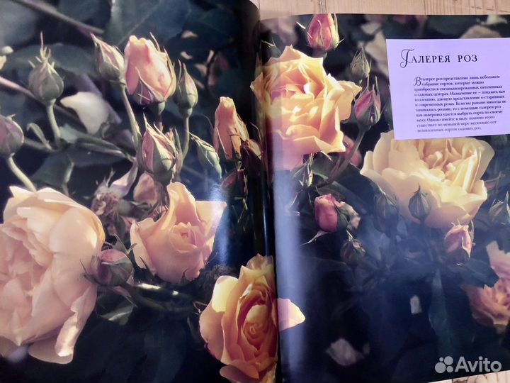 Книги о Розах Цветоводство