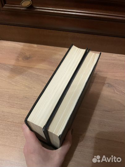 Осип Мандельштам: Сочинения в 2х томах 1990г