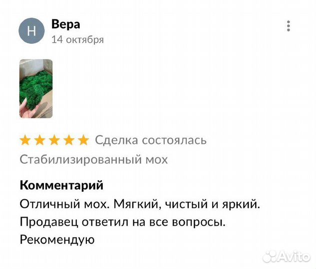 Древо жизни без фактуры 30 см