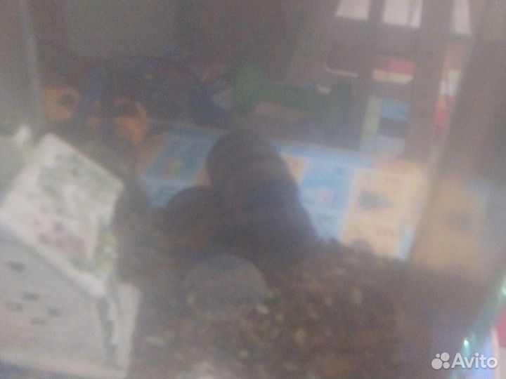 Аквариум 36 л