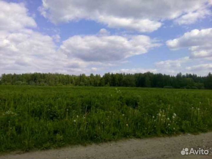 Межевание зем. участков, изготовление тех. планов