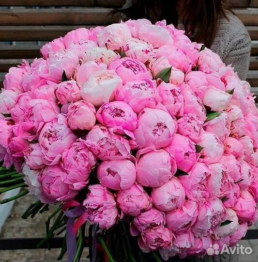 Пионы Букет