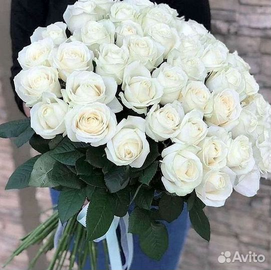 101 роза цветы букеты доставка 25 51 101 роза