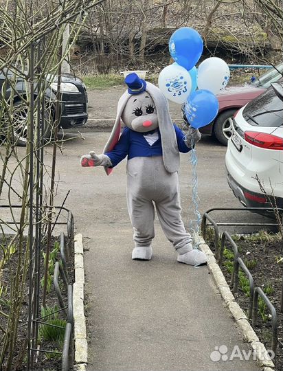 Экспресс поздравление аниматор