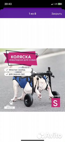Инвалидная коляска для собак
