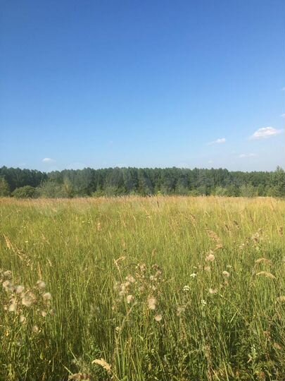 Участок 3,5 га (СНТ, ДНП)