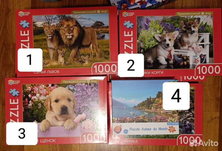 Пазлы 1000