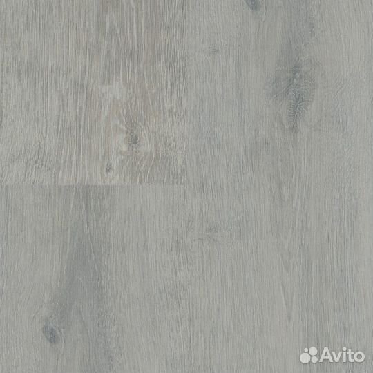 Ламинат MaxWood Дуб Светлый 1114