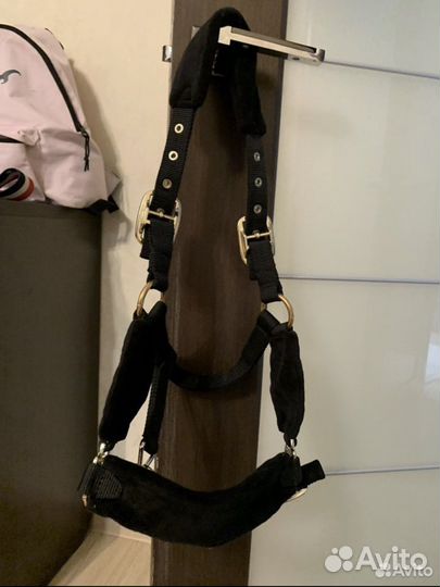 Недоуздок для лошади