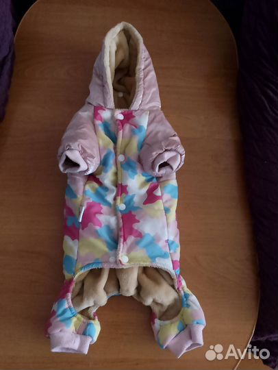 Одежда для собак