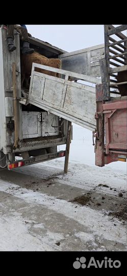 Полуприцеп для перевозки скота Балтспецмаш Скотовоз, 2011