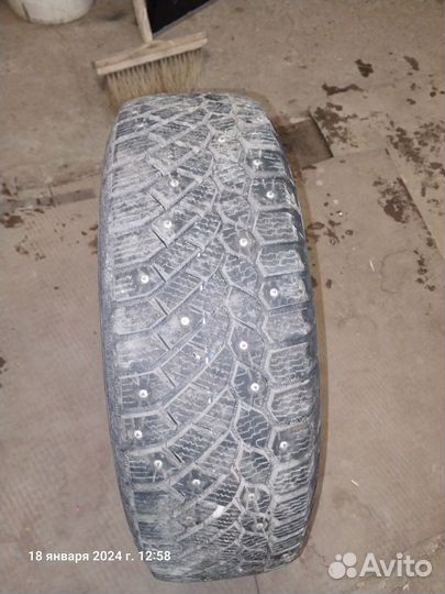 Gislaved Nord Frost 200 175/70 R13