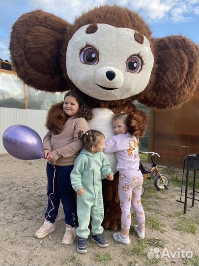 Мишка Колпино, Поздравление