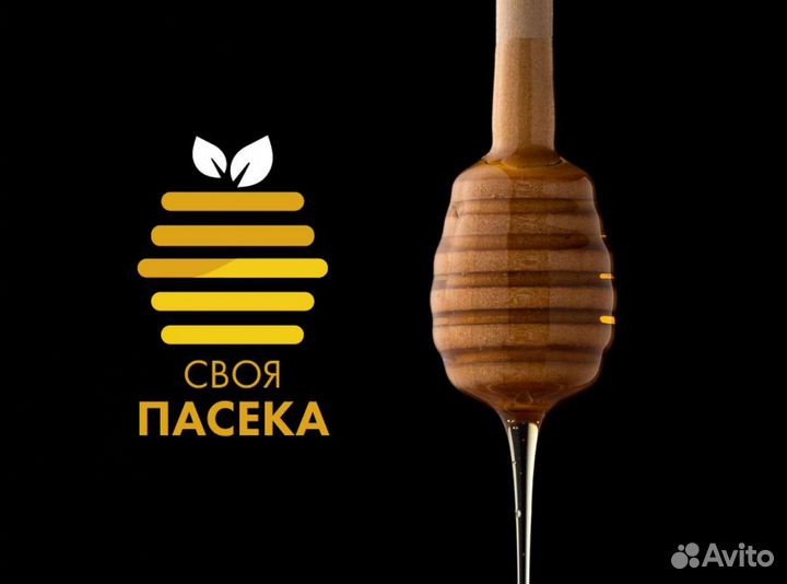 Разработка логотипов, визиток, создание сайтов