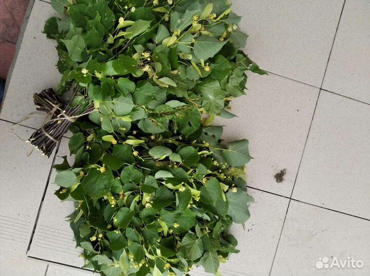 Липовые веники