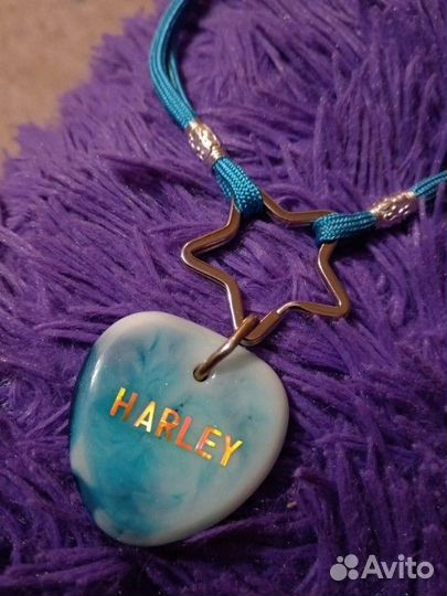 Амуниция для собак Адресники, ошейники поводки