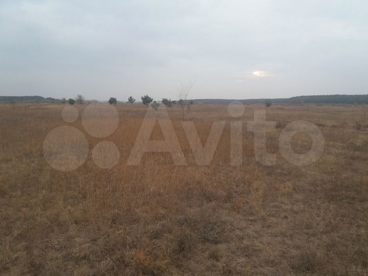 Участок 15 сот. (ИЖС)