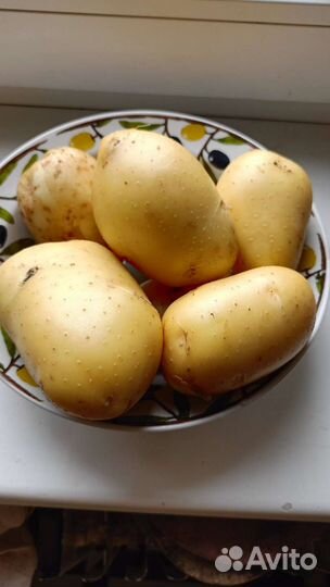 Огурцы, кабачки, картофель молодой, перец