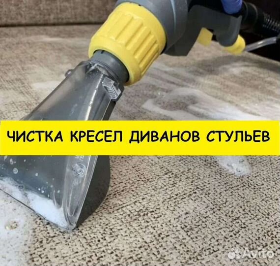 Аренда моющего пылесоса karcher и пароочистителя