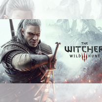 The Witcher 3: Wild Hunt (PC, Steam)