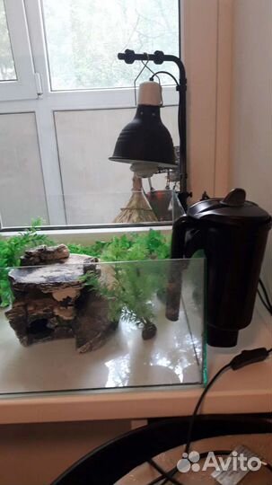 Акватеррариум для черепахи