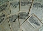 Журнал Охотничий Вестник 1907 г. Годовая подшивка