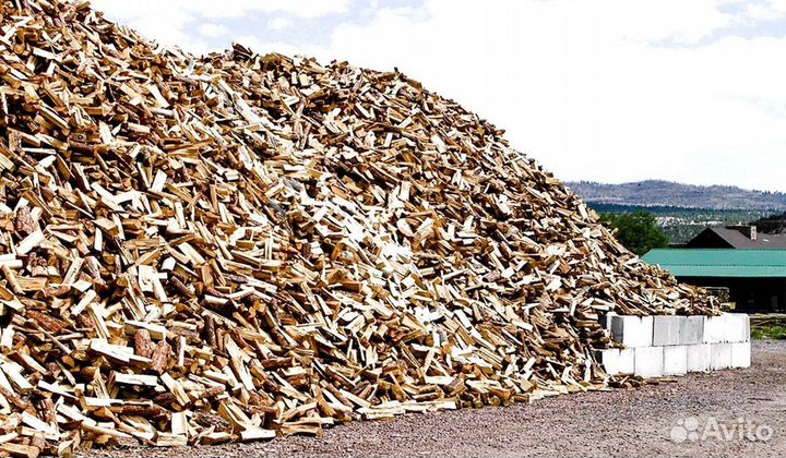 Дрова со Всеволожска