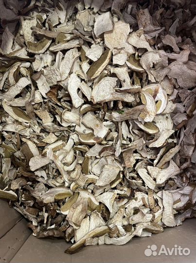 Гриб белый сушенный Алтайский край сбор 2024 г