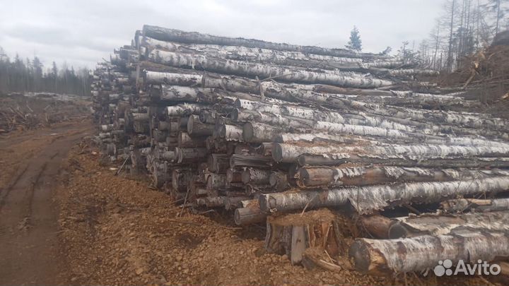 Дрова березовые