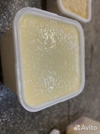 Мед липовый оптом