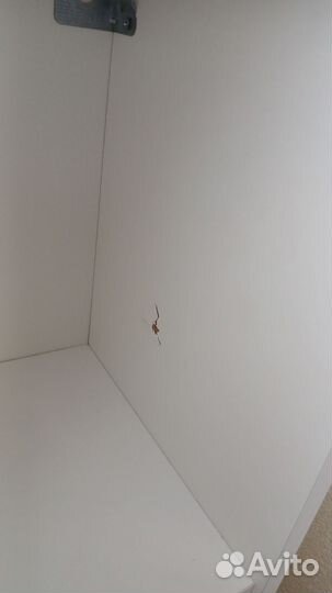 Полка настенная навесная бу