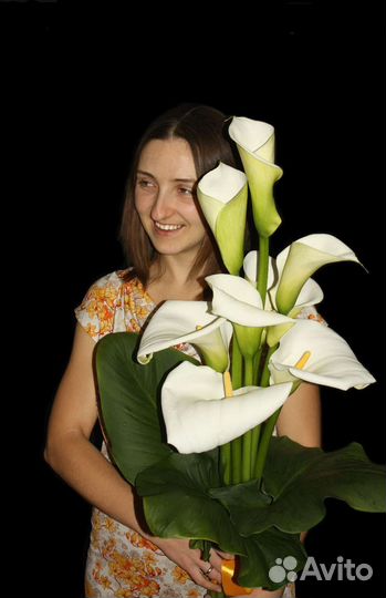 Калла эфиопская луковица
